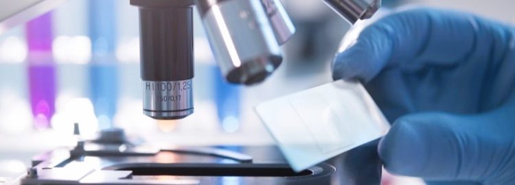 35th “A. Castellani” Meeting of PhD students in Biochemical sciences